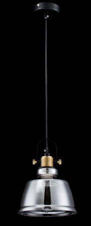 Подвесной светильник 1*E27 40Вт Черный IP20 Irving T163-11-C Maytoni