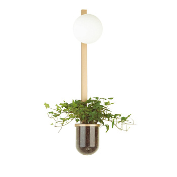 Настенный св-к E14 1*40W 220V FLOWER золото/белый C ODEON LIGHT