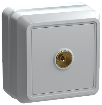 Розетка 1-местная ОУ телевизионная РТВ20-ОБ ОКТАВА белый IEK