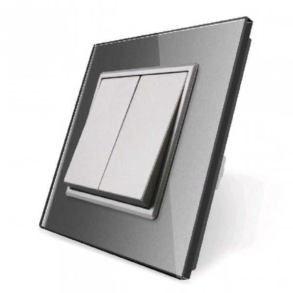 Механический выключатель 2 клавиши Серый Livolo