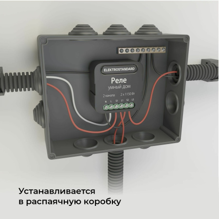 Умное двухканальное реле черный IP20 (a059326) Elektrostandard