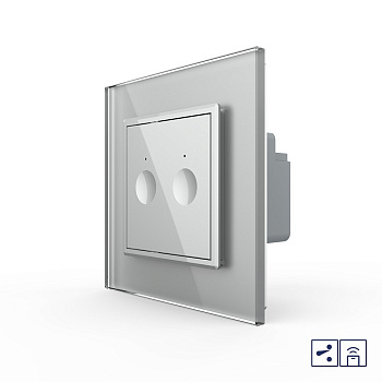 Двухклавишный проходной сенсорный выключатель Module с функцией радиоуправления, цвет серый Livolo