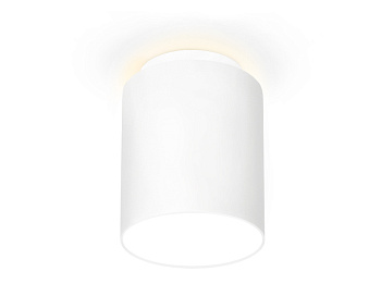 Накладной светодиодный точечный светильник TN261 WH/S белый/песок LED 4200K 10W D100*100 Ambrella Light