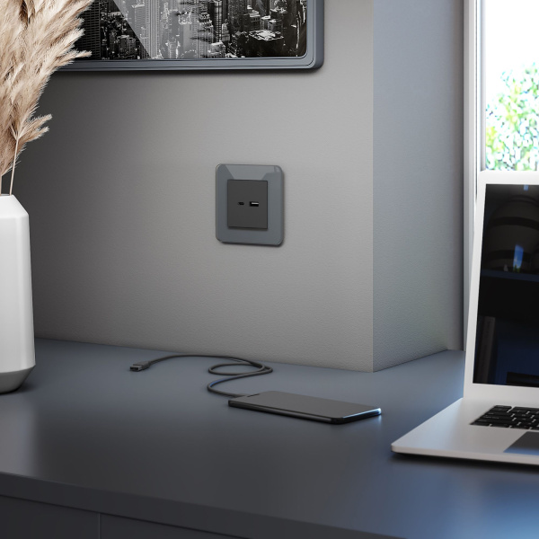 Elite Рамка из стекла на 1 пост графит Werkel