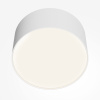 Потолочный светильник LED 12Вт Белый IP20 Ceiling & Wall C032CL-12W4K-RD-W Technical Maytoni