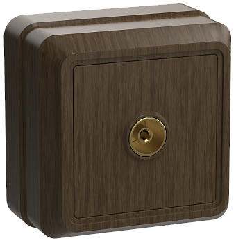 Розетка 1-местная ОУ телевизионная РТВ20-ОД ОКТАВА дуб IEK