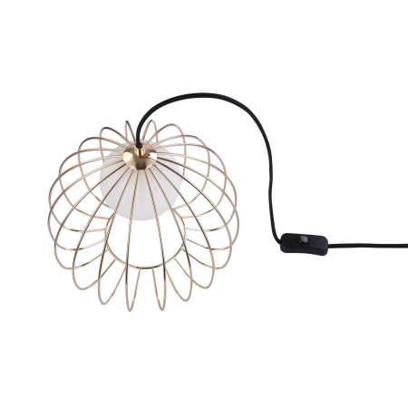 Настольная лампа 1*G9 28Вт Черный с Золотом IP20 Polly MOD542TL-01G Maytoni