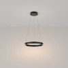 Подвесной светильник LED 25Вт Черный IP20 Rim MOD058PL-L22B3K Maytoni