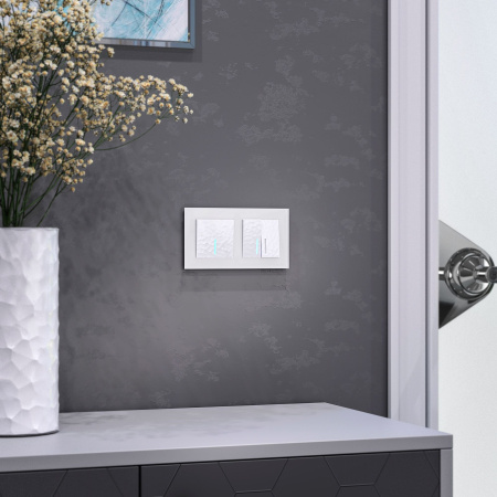 Favorit Рамка на 2 поста (белый матовый) Werkel