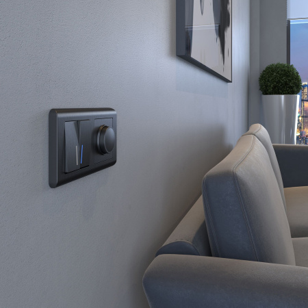 Stream Рамка на 2 поста (графит) Werkel