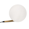 Настольный светильник 1*E14 40Вт Латунь IP20 Blossom FR5259TL-01BS Freya