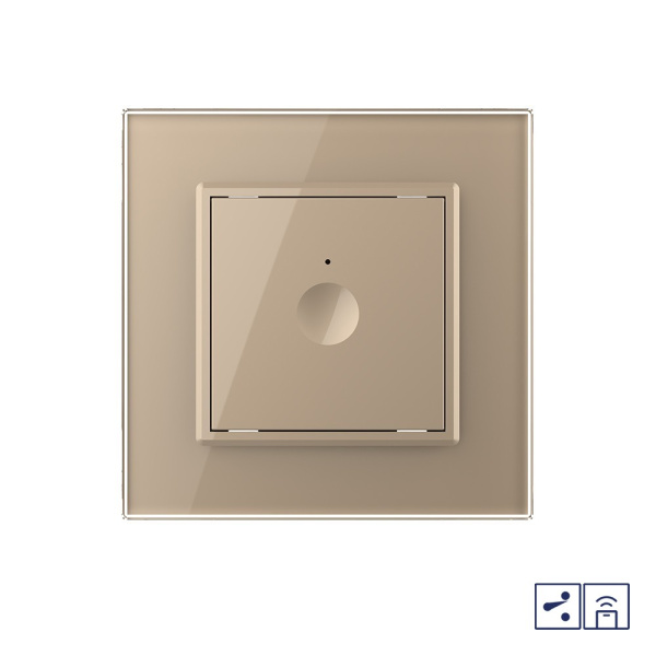 Одноклавишный проходной сенсорный выключатель Module с функцией радиоуправления, цвет золотой Livolo