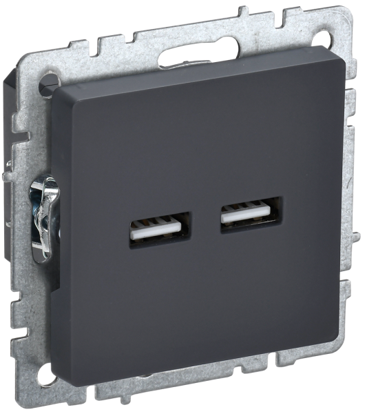 BRITE Роз. USB A+A 3,1А РЮ10-1-БрГ граф. IEK