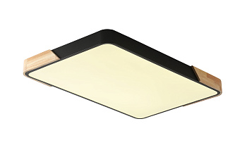 Светильник потолочный ALBERRO ZRS.01244.60 60Вт 4000K IP20 Чёрный Zortes