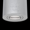 Потолочный светильник 1*GU10 50Вт Серебро IP20 Alfa C016CL-01S Technical