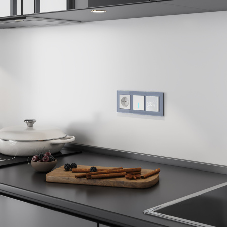 Сенсорный выключатель одноклавишный с подсветкой 1000 Вт (серебряный) СУ IP20 Werkel