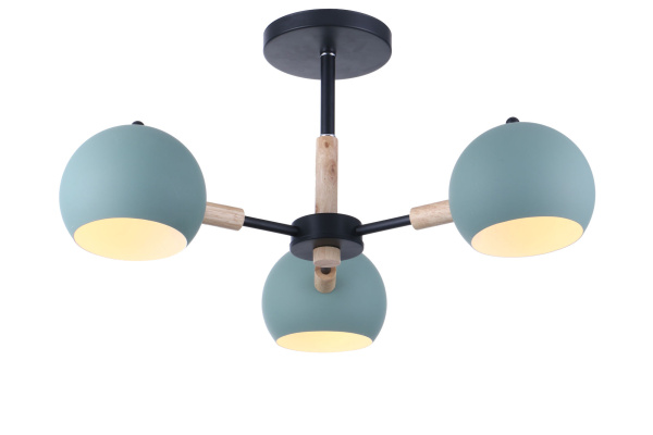 Потолочный светильник 3*E14 40Вт Черный IP20 Trisha FR5032CL-03B Freya