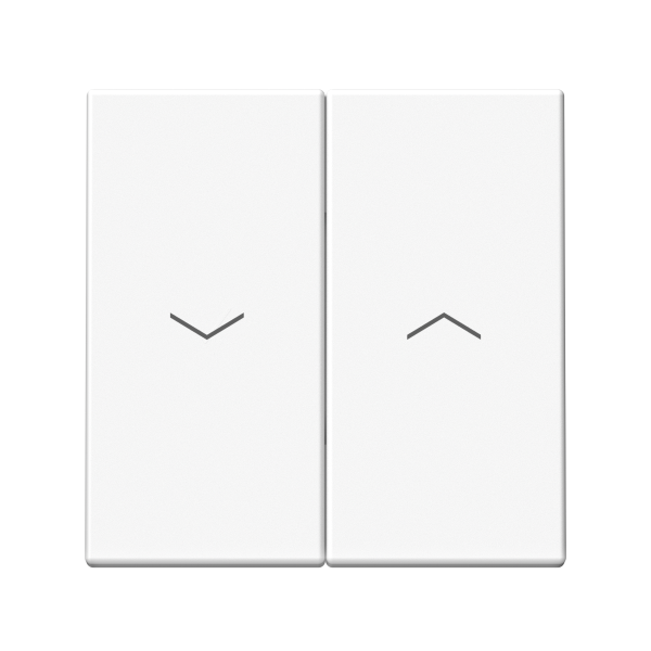 ARTGALLERY 2-клавишный ВЫКЛЮЧАТЕЛЬ ДЛЯ ЖАЛЮЗИ, 2х сх.4, 10А, механизм, БЕЛЫЙ Systeme Electric