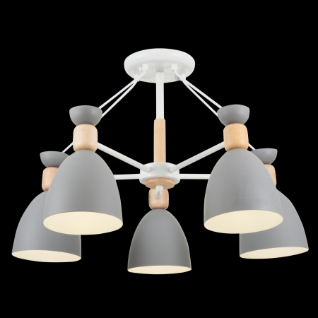 Потолочный светильник 5*E27 60Вт Белый IP20 Delia FR5033CL-05W Freya