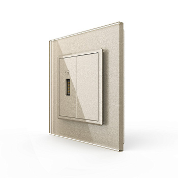 Розетка с одним USB type-A, блоком питания 5В 2.1А 1 пост, цвет шампань Livolo Розетка с одним USB type-A, блоком питания 5В 2.1А 1 пост, цвет шампань Livolo