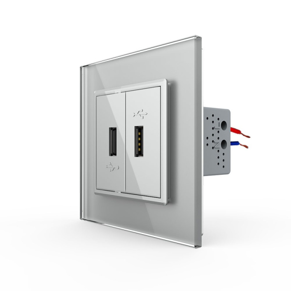 Розетка USB с блоком 5В 2.1А двойная Серая Livolo