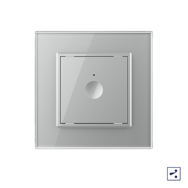 Одноклавишный проходной сенсорный выключатель Module, цвет серый Livolo