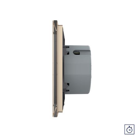 Сенсорный выключатель с таймером 1 клавиша 1 модуль Золотой Livolo