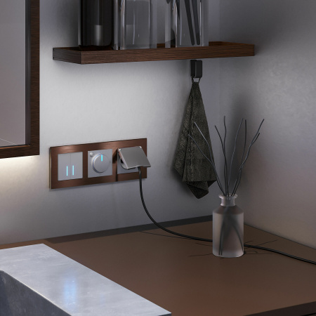 Сенсорный выключатель двухклавишный с подсветкой 1000 Вт (серебряный) СУ IP20 Werkel