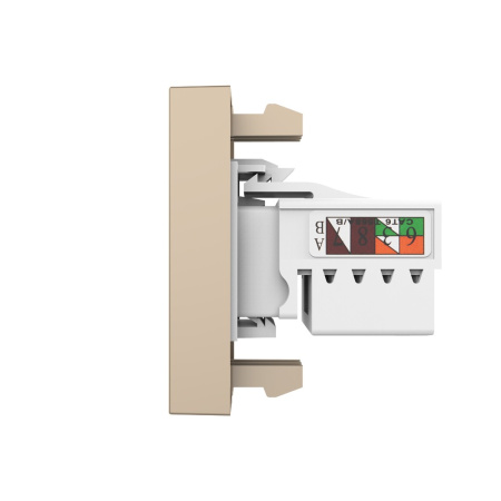 Розетка компьютерная RJ-45 золотая (механизм) Livolo