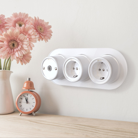 Розетка с заземлением (белый) Ретро ОУ IP20 Werkel