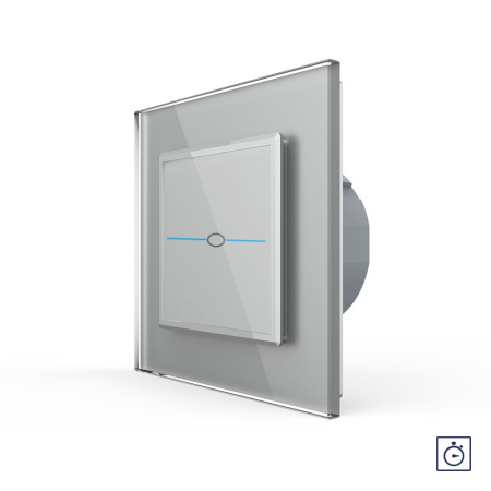 Сенсорный выключатель с таймером Quadro 1 клавиша 1 модуль Серый Livolo