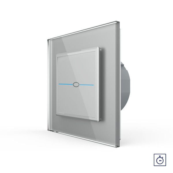 Сенсорный выключатель с таймером Quadro 1 клавиша 1 модуль Серый Livolo