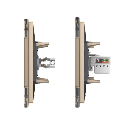 Розетка ТВ/КОМП RJ-45 Золотая Livolo