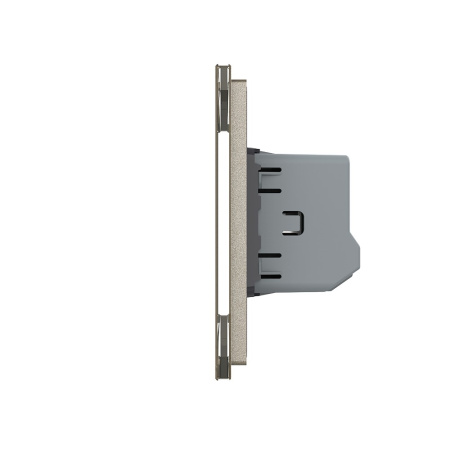 Сенсорный выключатель 2 клавиши (1-1), 2 поста, цвет шампань Livolo