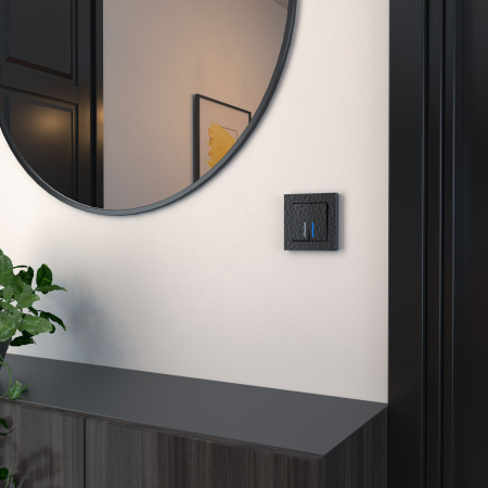 Hammer Рамка универсальная 1 пост . Черный IP20 Werkel