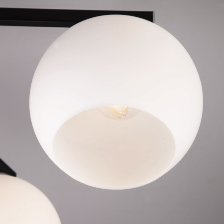 Потолочная люстра с плафонами 6*E27 40Вт венге, хром IP20 (30145/6 хром/венге) Eurosvet