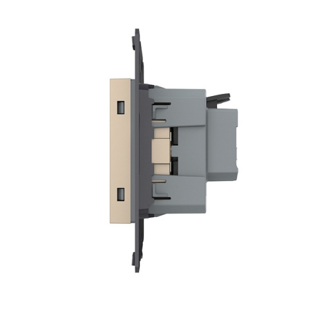 Розетка электрическая с заземлением защитными шторками 16A, зажимы, цвет золотой (механизм) Livolo