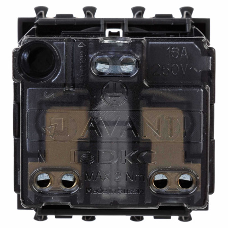 Розетка модульная, 2P+E, с з/ш, "Avanti", "Черный матовый", 2 модуля DKC