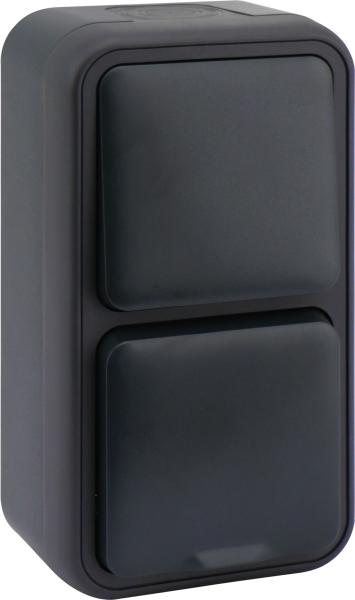 Donel WP55 двойной блок накл. Роз.с защ.крышк.,+Переключатель 1-кл., антрацит, IP55, серия (тип) DIP55