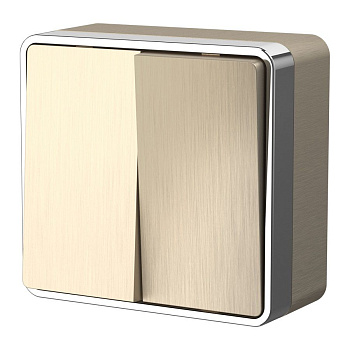 Выключатель двухклавишный (шампань рифленый) Gallant ОУ IP20 Werkel