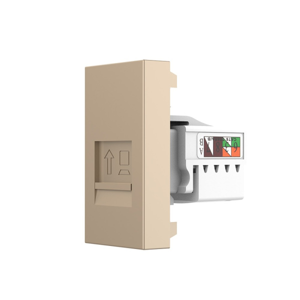 Розетка компьютерная RJ-45 золотая (механизм) Livolo