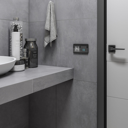 Favorit Рамка на 2 поста (черный) Werkel