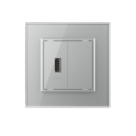 Розетка USB с блоком 5В 2.1А Серая Livolo