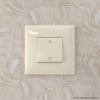 Переключатель одноклавишный в стену, "Avanti", "Ванильная дымка" DKC