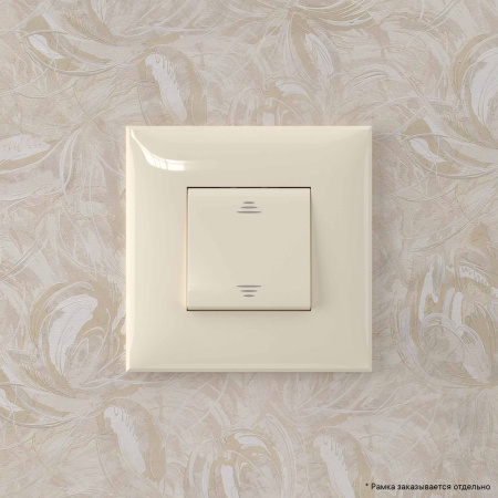 Переключатель одноклавишный в стену, "Avanti", "Ванильная дымка" DKC