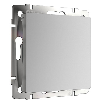 Заглушка (серебряный) СУ IP20 Werkel