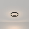 Потолочный светильник 2*LED 25Вт Черный IP20 Rim MOD058CL-L25B3K Maytoni