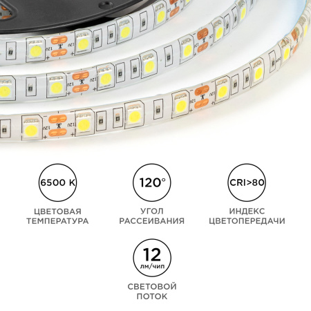 LSE-275 Светодиодная лента 12В, 14,4Вт/м, 600 лм/м, 6500К, smd5050, 60д/м, IP65, ширина подложки 10мм, 5м, х/б OGM