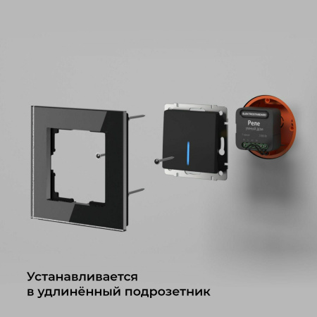Умное одноканальное реле 2300Вт черный IP20 (a059324) Elektrostandard