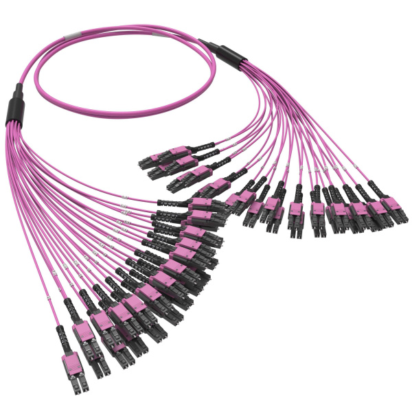 Оптическая разветвительная сборка 48ОВ 50/125 OM4, 24xLC Duplex Uniboot/24xLC Duplex Uniboot, 15м DKC